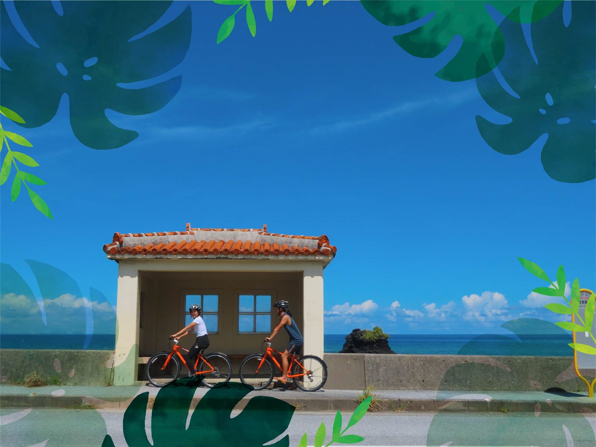 Yambaru Cycle Experience in the forests of northern Okinawa